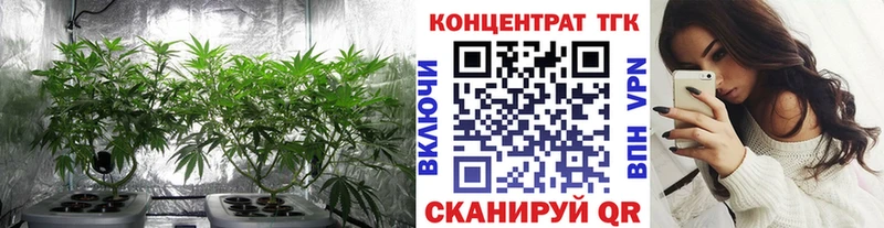 mega как войти  закладки  Торжок  ТГК вейп с тгк 